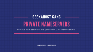 Private-Nameservers