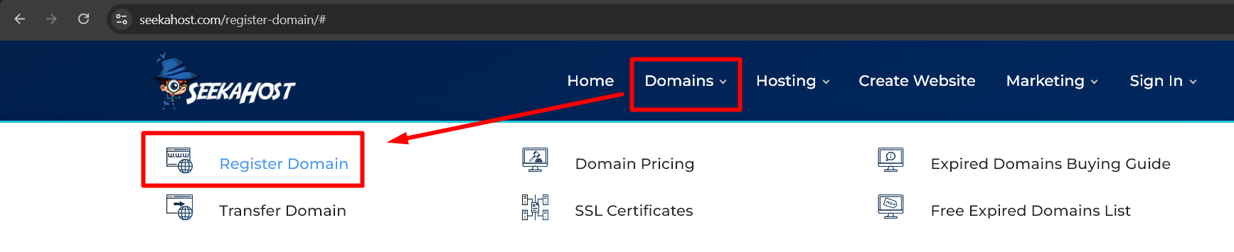 Register Domain - SeekaHost