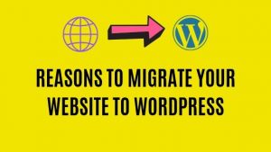 Wordpress Migration Reasons