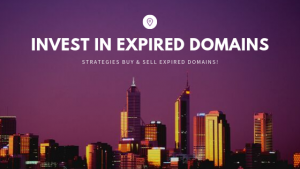 invest-in-expired-domains