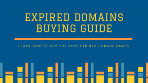 Expired-Domains-Buying-Guide