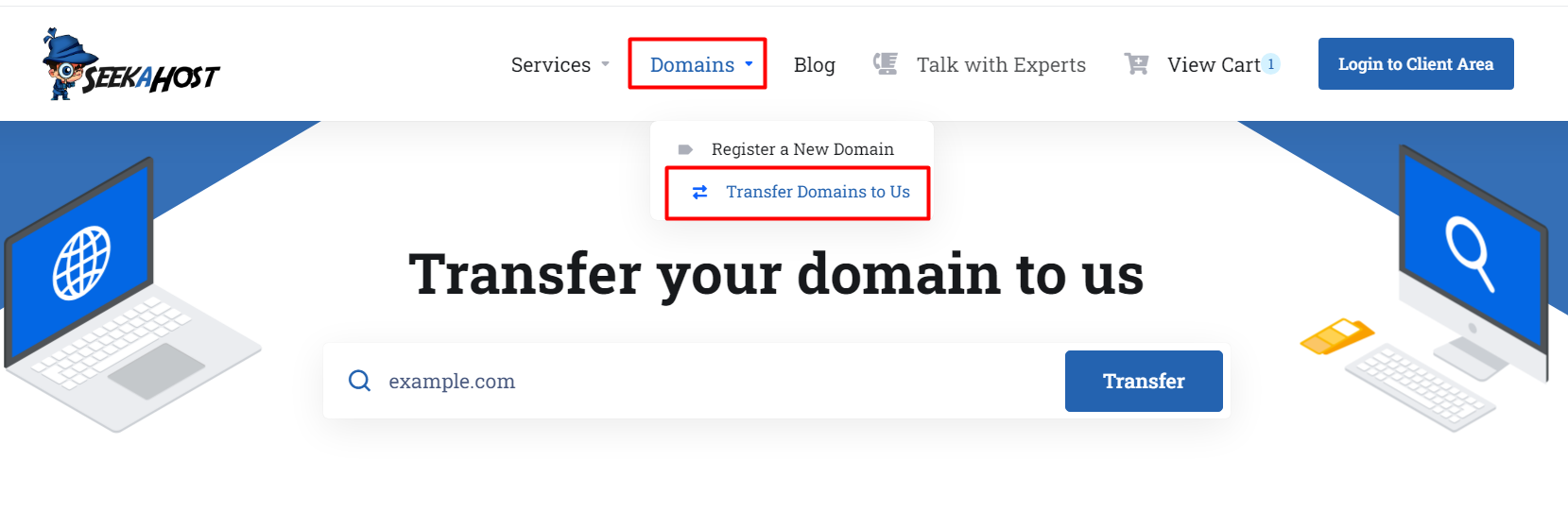 Transfer Domain to Us