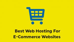 Ecommerce hosting