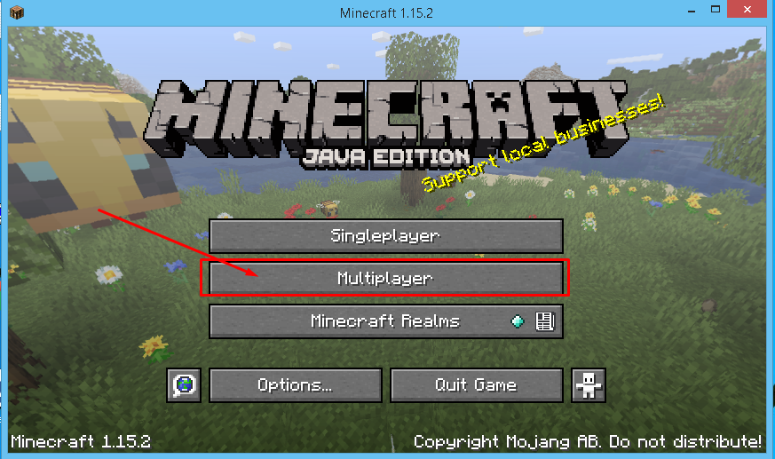How to Play Multiplayer in Minecraft