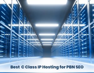 Best-C-Class-IP-Hosting-for-PBN-SEO