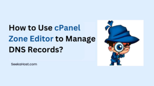 Use cPanel Zone Editor to Manage DNS Records