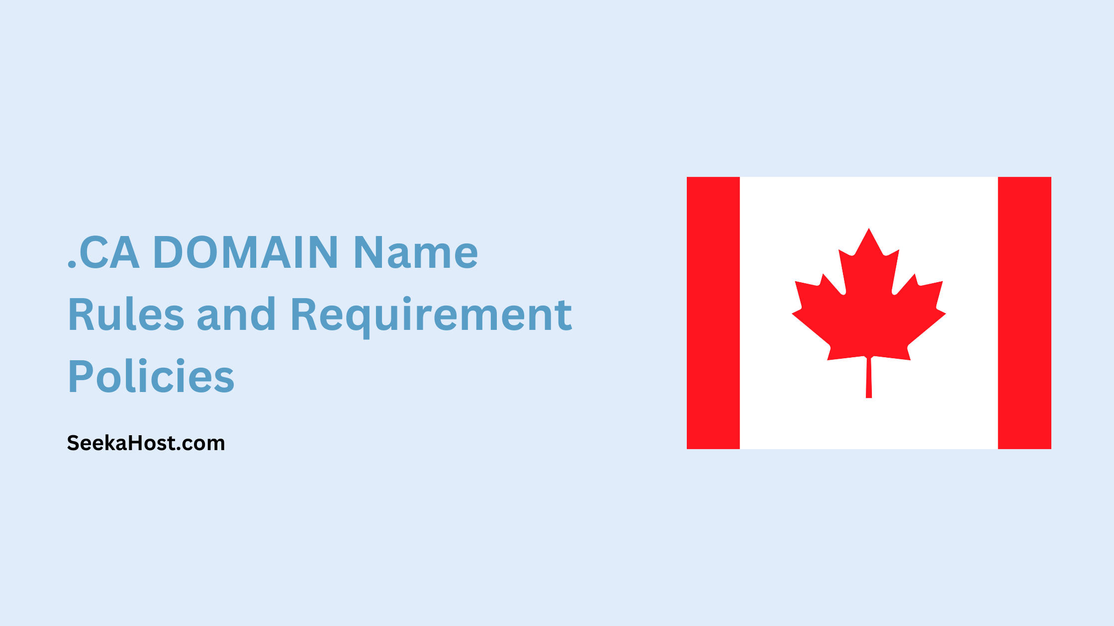 CA DOMAIN Name Rules and Requirement Policies