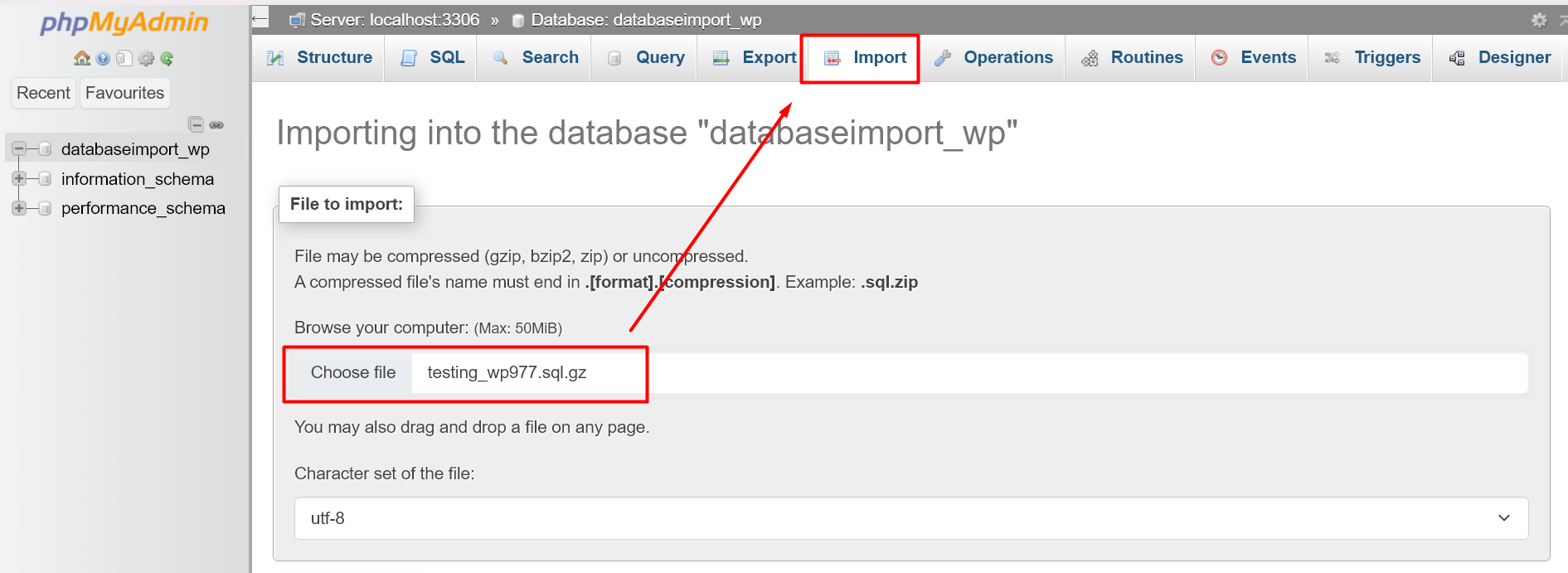 Import Database - phpMyAdmin