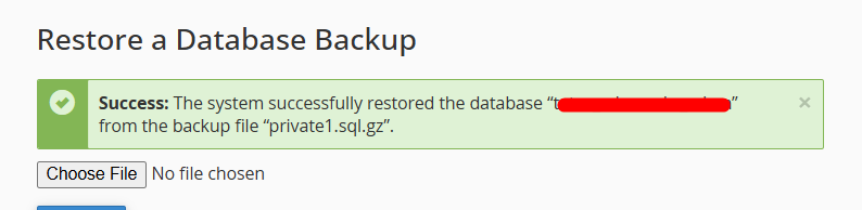 Successful Restore Database