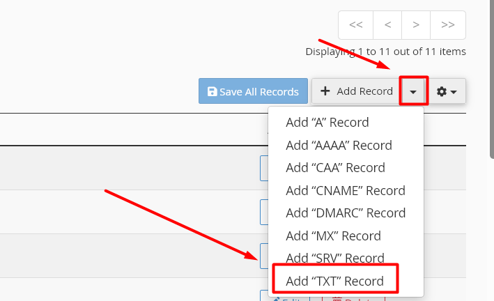 Add TXT Record - cPanel